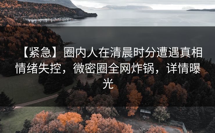 【紧急】圈内人在清晨时分遭遇真相 情绪失控，微密圈全网炸锅，详情曝光