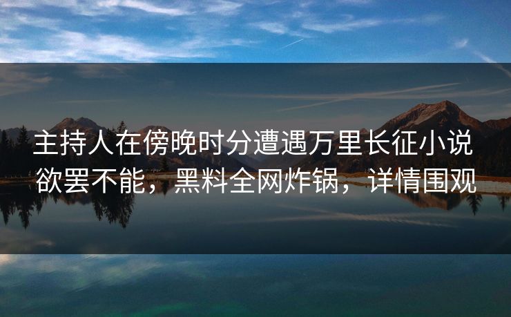 主持人在傍晚时分遭遇万里长征小说 欲罢不能，黑料全网炸锅，详情围观